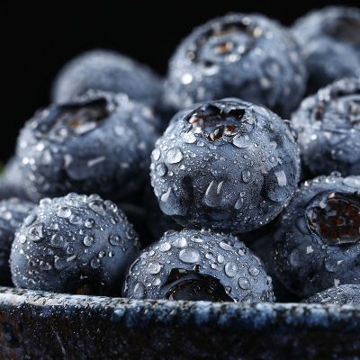 现摘现发云南新鲜蓝莓 露天蓝莓大果 当季时令水果宝宝辅食非进口