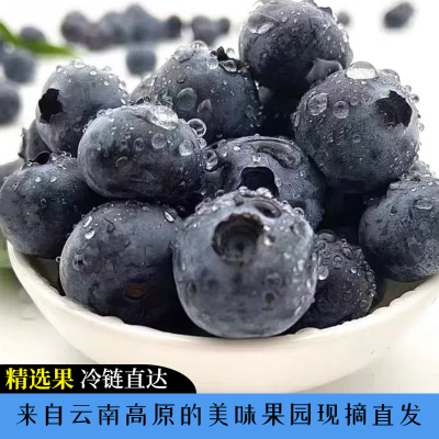 现摘新鲜蓝莓应季水果孕妇宝宝辅食鲜蓝莓