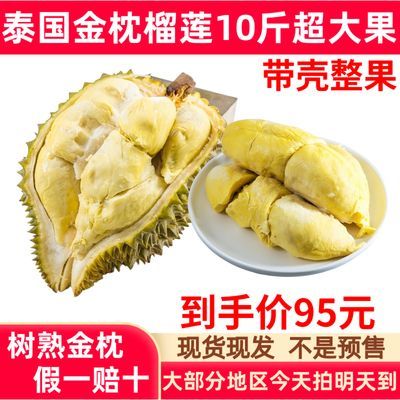 泰国进口树熟液氮金枕榴莲冷冻鲜果带壳