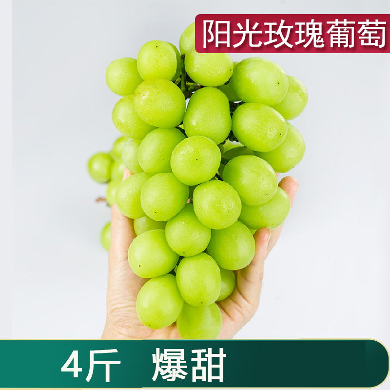 阳光玫瑰葡萄日本品种香印晴王青提无籽提子新鲜水果非串果带箱