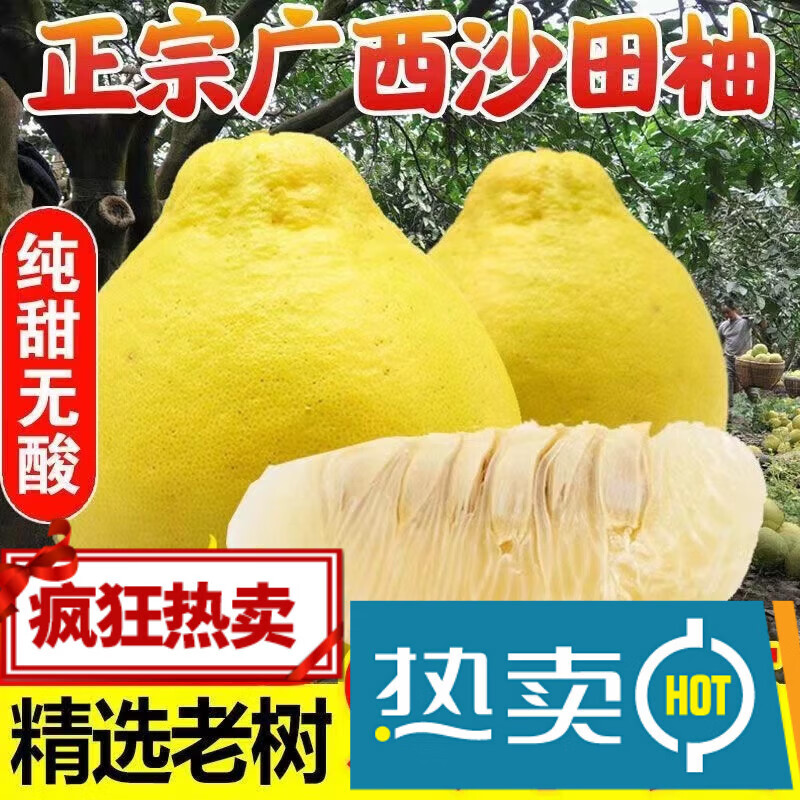 【顺丰包邮】沙田柚新鲜当季柚子纯甜柚蜜柚白心柚水果整箱5/9斤