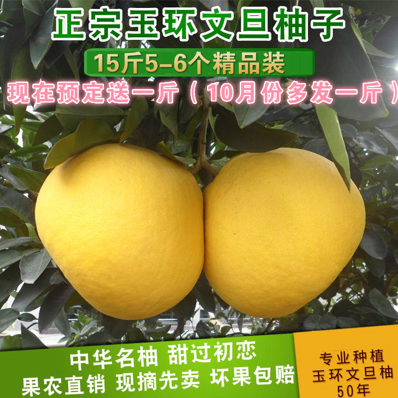 正宗玉环文旦浙江台州楚门柚子非平和红心新鲜水果白肉蜜柚15斤
