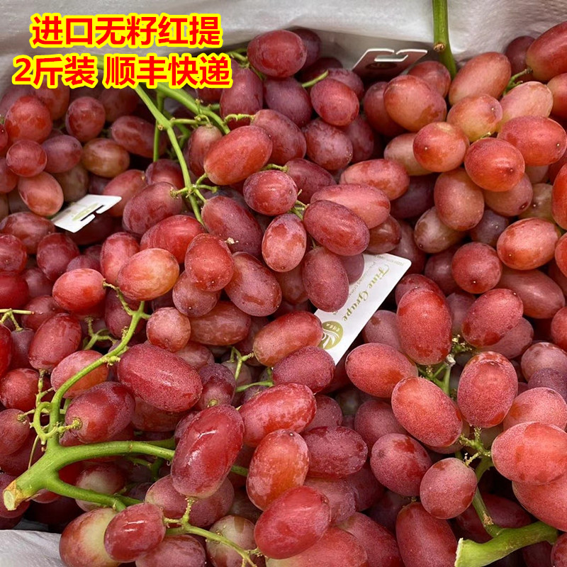 进口无籽红提新鲜红提子鲜果当季孕妇水果2斤装广东省内顺丰包邮
