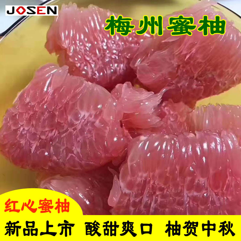 广东梅州新鲜水果蜜柚红肉酸甜网袋包装靓果50斤包邮