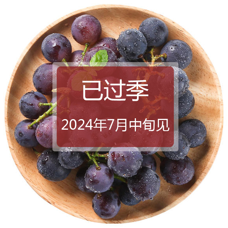 江西抚州农家种植当季新鲜水果老品种葡萄提子甜巨峰葡萄