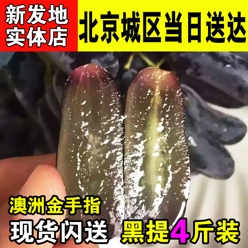 【北京当日达】澳洲金手指黑提带箱4斤美人指 葡萄无籽提子新鲜