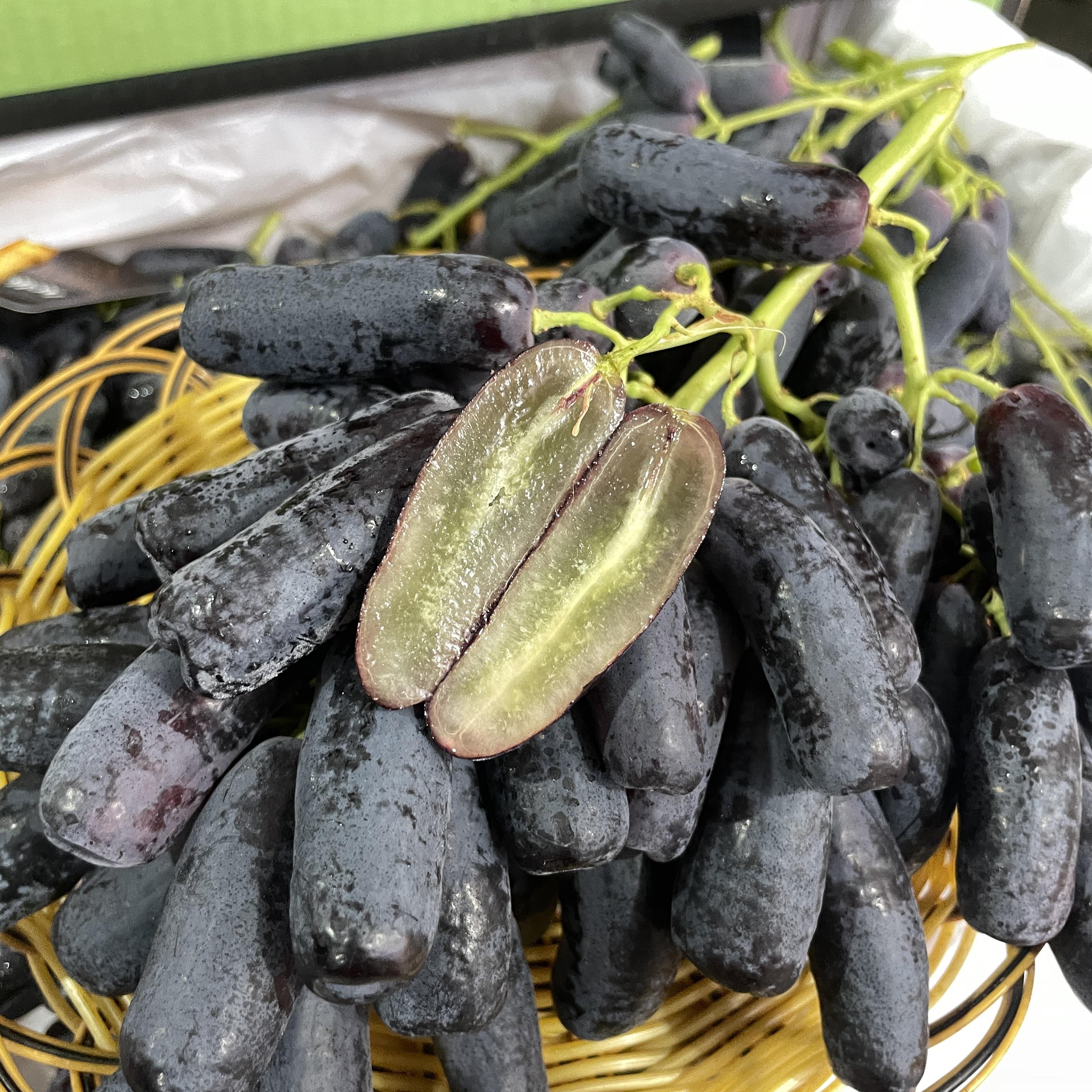 澳大利亚金手指黑提2斤当季新鲜进口无籽黑提鲜葡萄提子水果