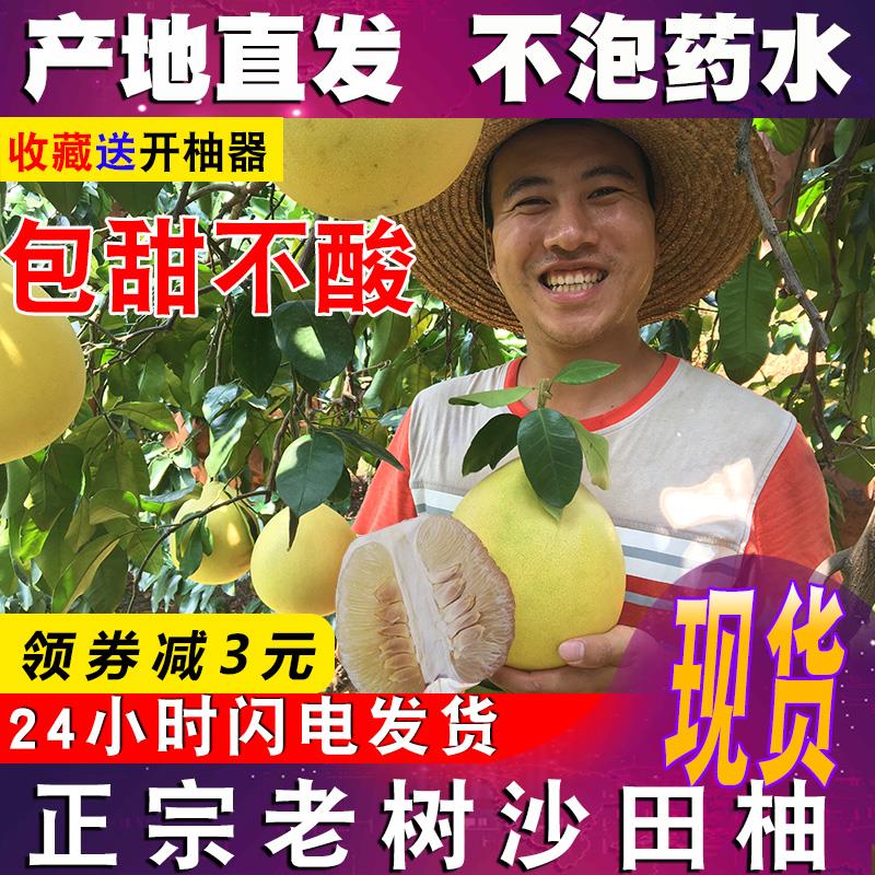 【全国都包邮】30年老树正宗梅州沙田柚子甜柚客家特产非白肉蜜柚