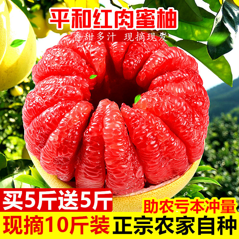时令包邮云南柚子红心红心肉蜜柚子当季新鲜水果10斤正品特产整