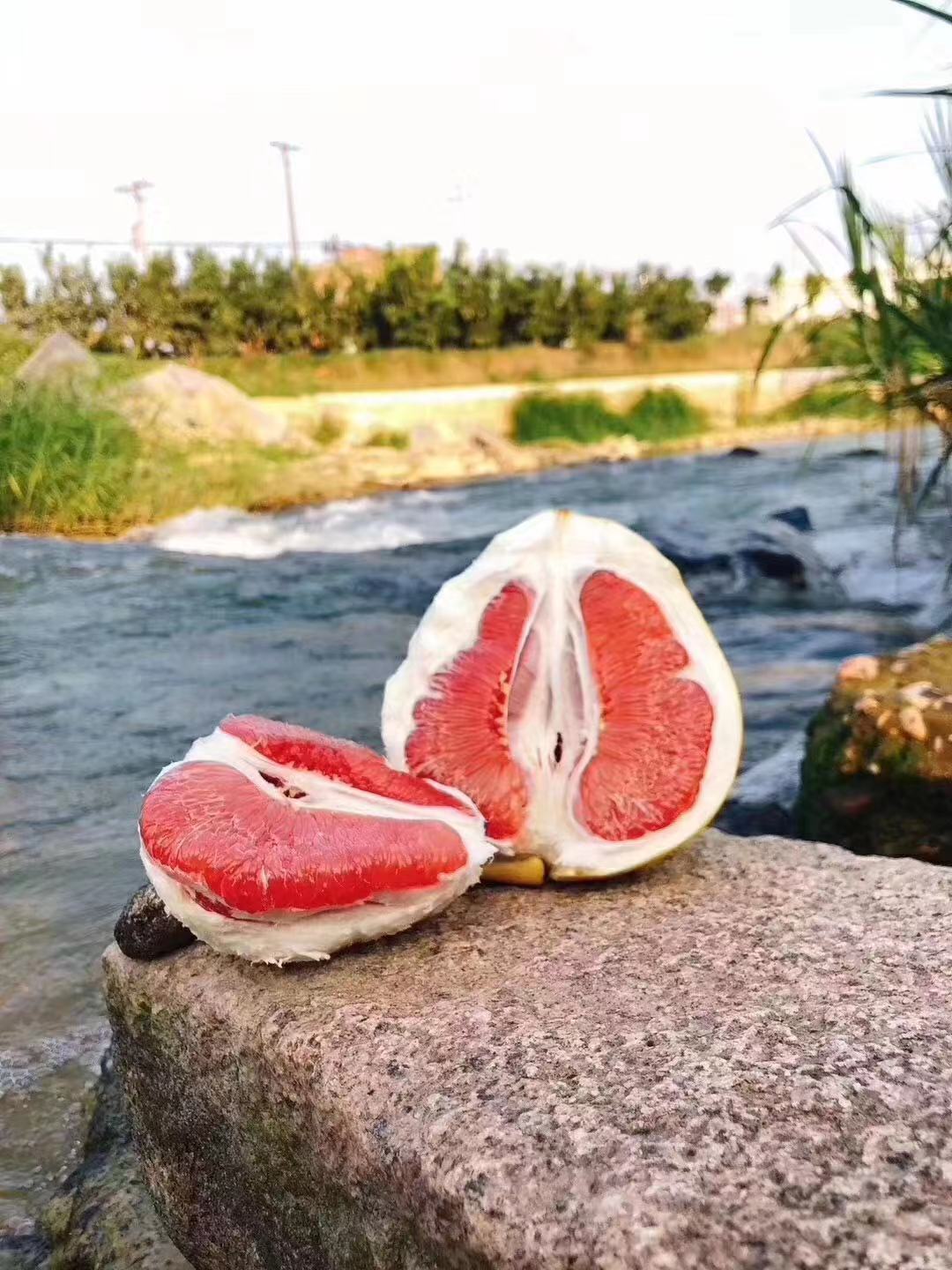 新鲜水果 生态红肉蜜柚 福建琯溪平和特产 红心柚子红柚 头等果