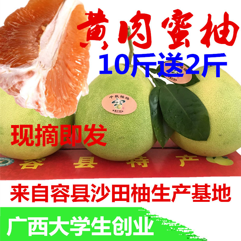 【顺丰】正宗容县黄肉蜜柚广西新鲜现摘黄心蜜柚孕妇水果12斤大果