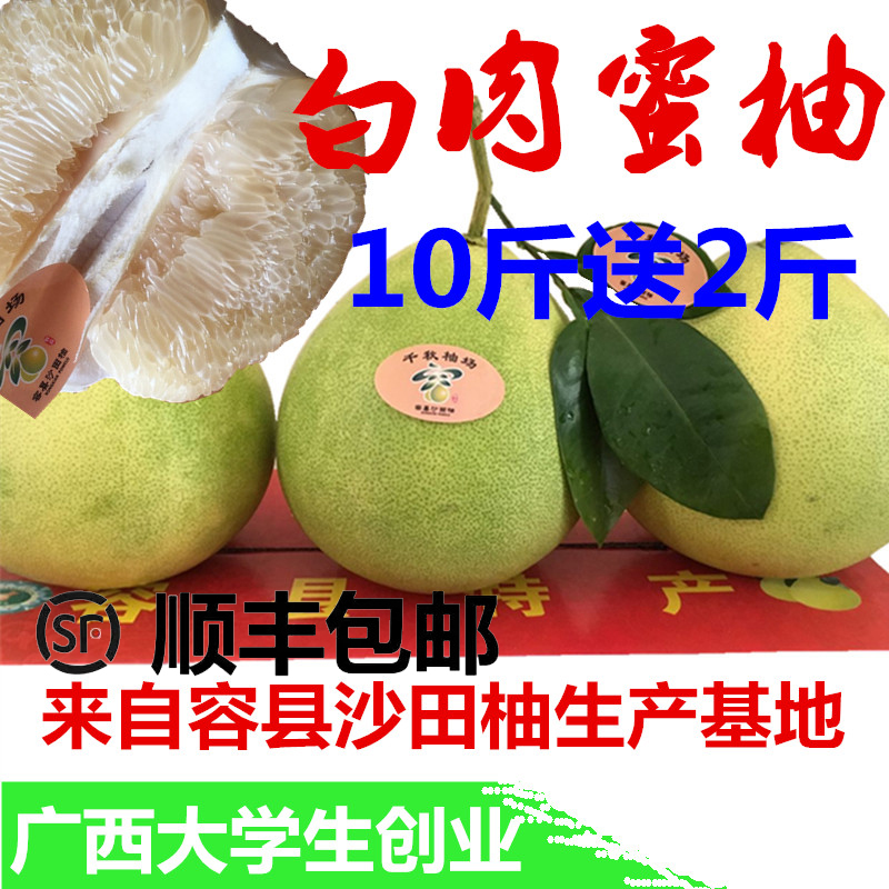 【顺丰】容县白肉蜜柚广西新鲜现摘正宗白肉白心蜜柚孕妇水果12斤