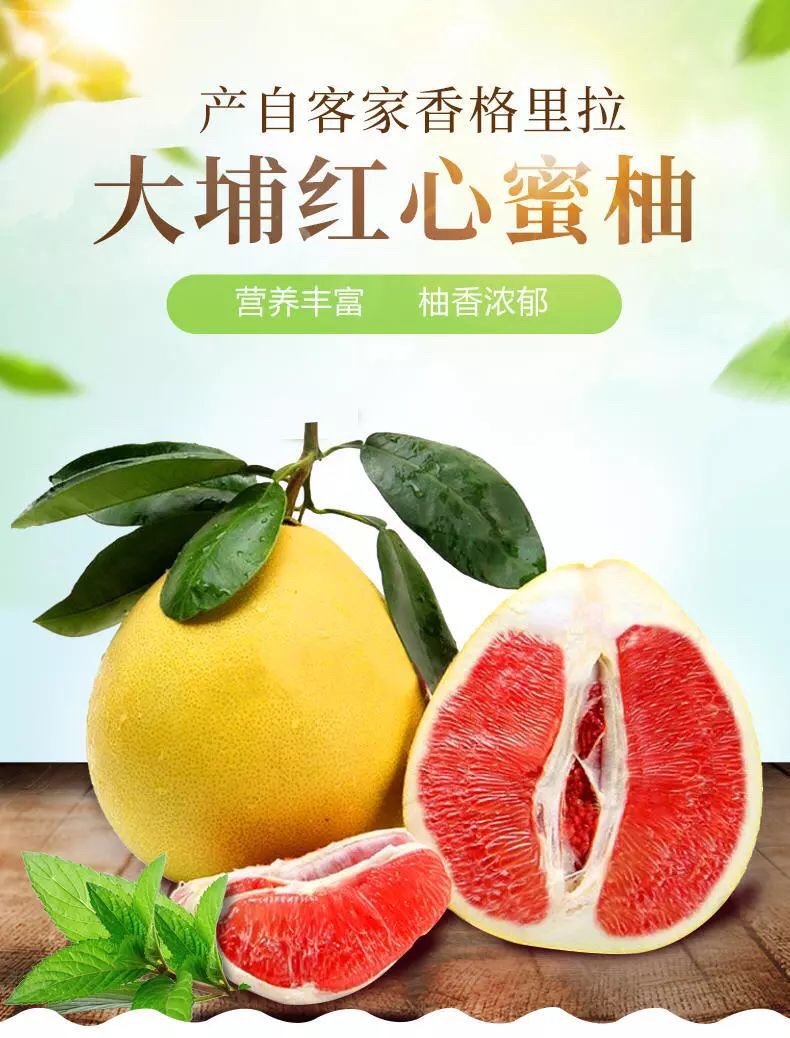 广东梅州红心蜜柚2个箱装5斤22.9元