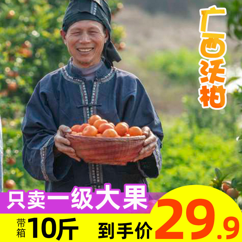 【现摘现发】正宗广西武鸣沃柑大果10斤自家果园少籽橙子一级沃柑