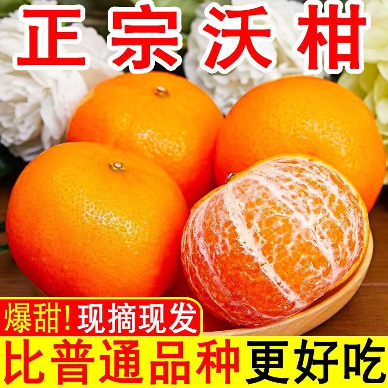 广西武鸣沃柑10斤新鲜水果当季整箱一级沙糖蜜橘沙糖柑橘橘子桔子