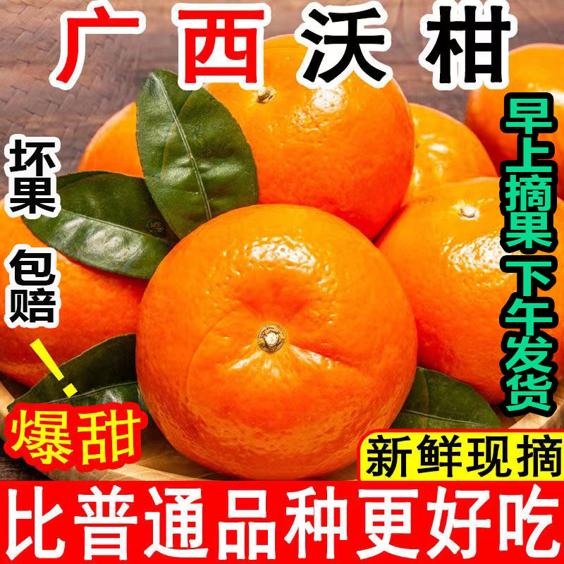 广西武鸣沃柑10斤新鲜水果当季整箱一级沙糖蜜橘砂糖柑橘橘子桔子
