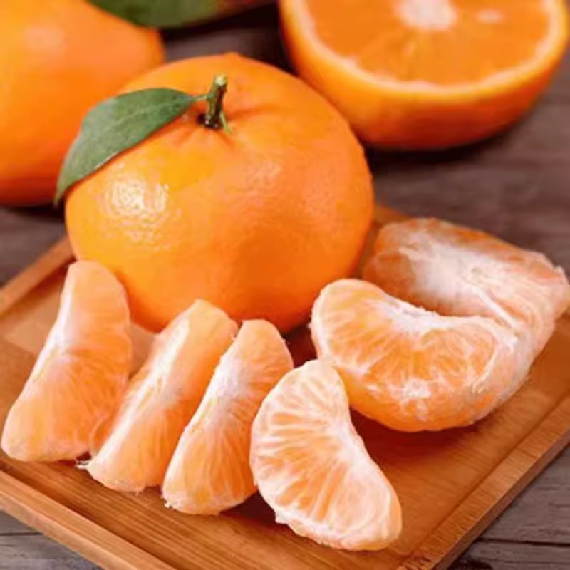 贵州罗甸新鲜沃柑皮薄多汁农产品橘子皇帝贡柑甜蜜桔子现摘砂糖柑