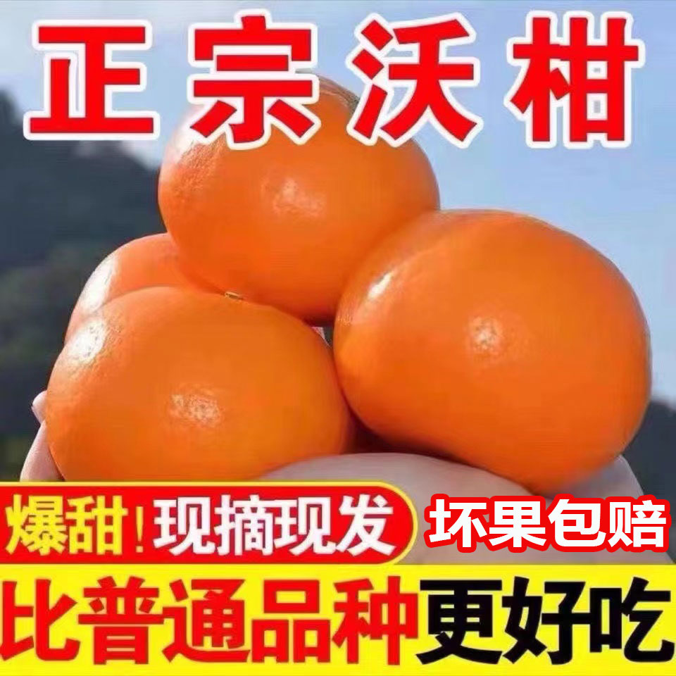广西武鸣沃柑10斤橘子新鲜水果当季整箱一级皇帝蜜柑橘砂糖桔子丑