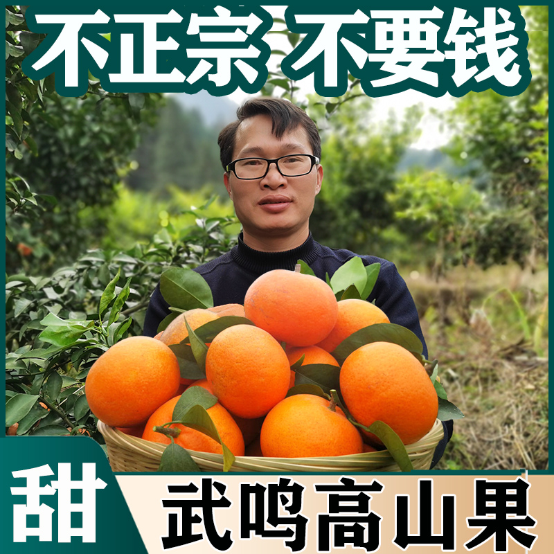 正宗广西武鸣沃柑新鲜10斤产地直发一级水果橘子沃甘橙子大果