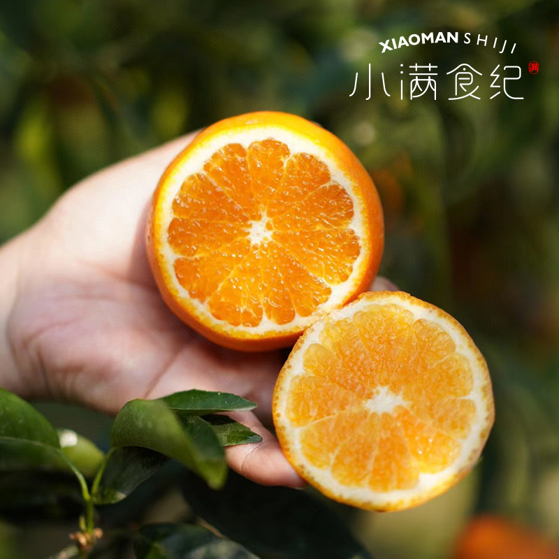 小满食纪 |云南晚熟沃柑 细嫩化渣味甜多汁皮薄 有核新甜柑橘当季