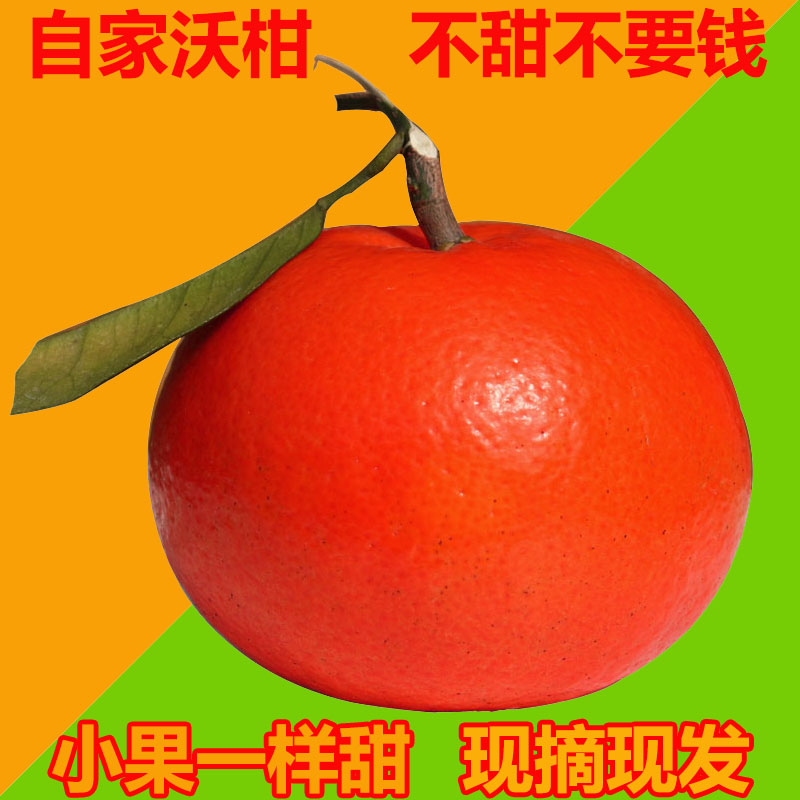 沃柑广西武鸣10斤新鲜现季水果橘子当季桔子小果现摘现发正宗包邮