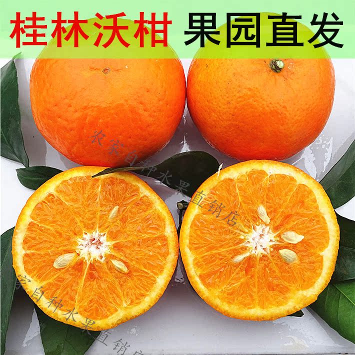 广西桂林沃柑当季现摘新鲜水果橘子
