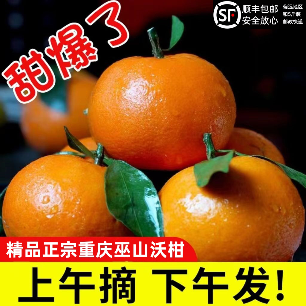 沃柑新鲜水果正宗桔子重庆巫山沃柑橘子柑橘爆甜薄皮孕妇小孩水果
