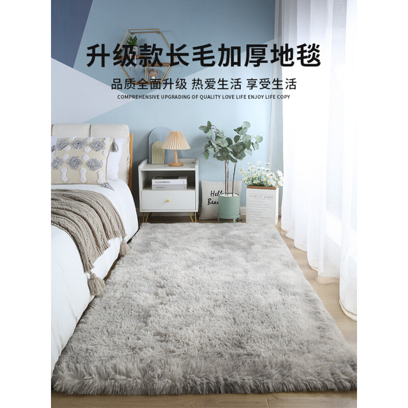 2023新款客厅卧室地毯床边毯ins风冬季天加厚长毛绒少女房间脚垫