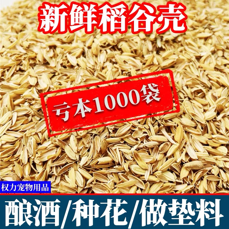 稻谷壳100斤稻壳酿酒发酵做枕芯动物垫料东北优质谷壳5斤