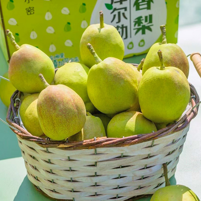 【礼盒装】顺丰包邮 新疆库尔勒特产香梨全母梨当季新鲜水果