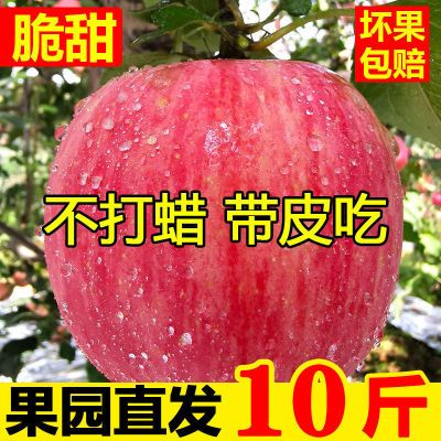 【超脆甜】高山红富士当季新鲜水果冰糖心丑苹果一整箱批发价