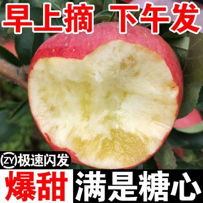 【新疆直采】正宗新疆冰糖心苹果新鲜水果特产丑特级红富士10斤