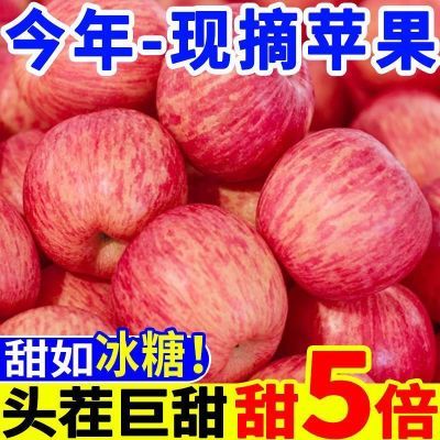【爆甜红富士】红富士苹果纸加膜冰糖心脆甜当季水果新鲜高档礼盒