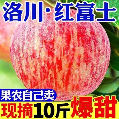 【爆甜】陕西洛川红富士苹果当季新鲜冰糖心丑苹果一整箱水果批发