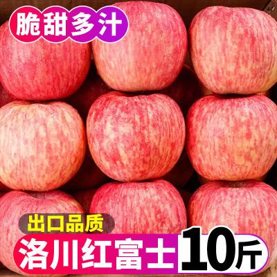 【正宗】洛川红富士苹果水果新鲜应季脆甜冰糖心整箱批发3/5/10斤