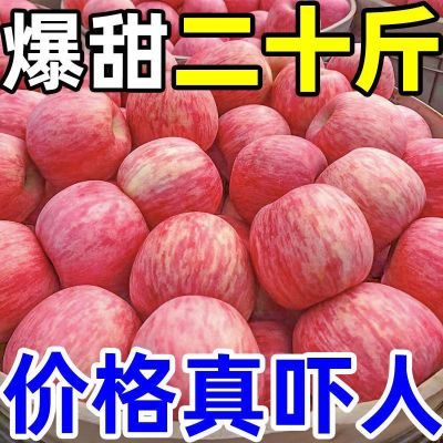 【正宗】洛川红富士苹果水果新鲜应季脆甜冰糖心整箱批发1/5/10斤