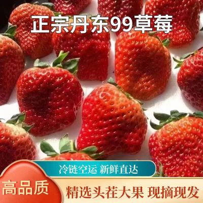 【爆甜】丹东99牛奶特大草莓新鲜现摘孕妇水果超甜东港九九红颜