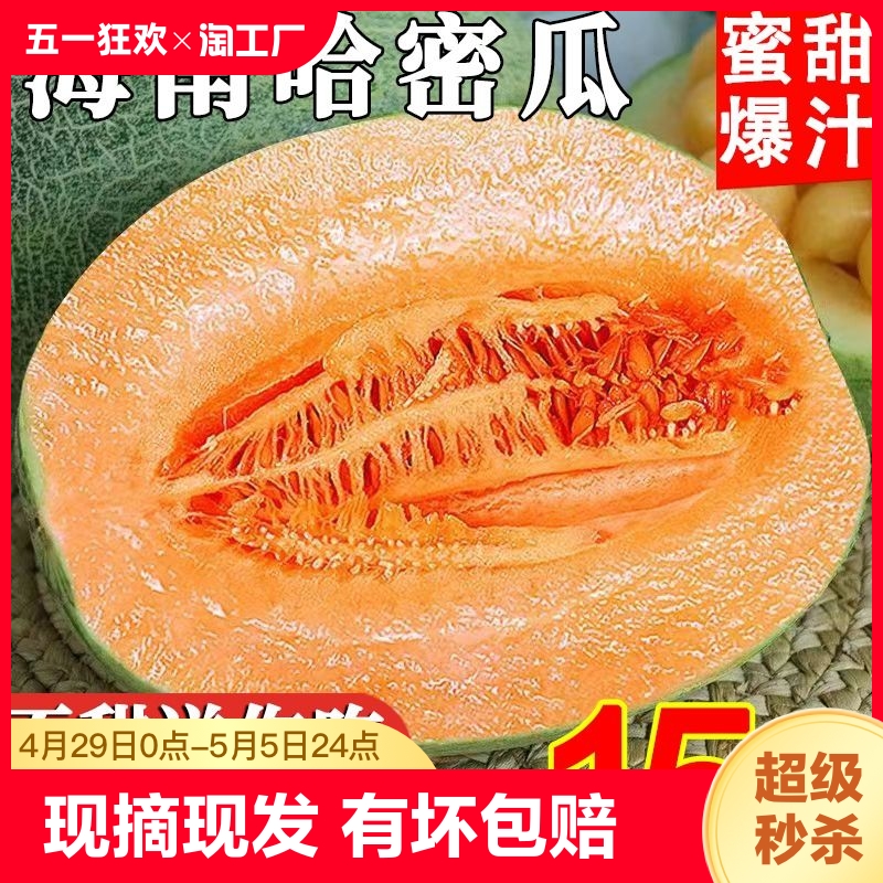 正宗海南哈密瓜10斤新鲜水果新疆西州蜜瓜25号老汉瓜整箱网纹甜瓜