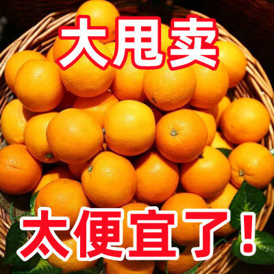 【特价】湖南麻阳冰糖橙薄皮橙子应季新鲜水果脐橙爱媛果冻橙批发