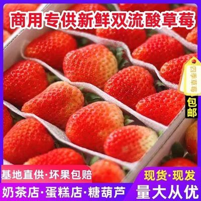 四季新鲜水果商用草莓烘焙蛋糕奶茶双流糖葫芦专用露天当季批发