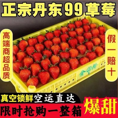 【超低价】丹东99牛奶草莓新鲜3斤奶油红颜大草莓水果现摘现发1斤