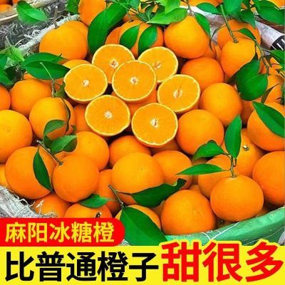 【爆甜】麻阳冰糖橙5/10斤特级大果当季应季新鲜水果橙子爱媛果冻