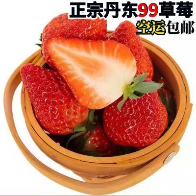 【空运】正宗丹东草莓99新鲜东港红颜九九草莓整箱新鲜特大果包邮