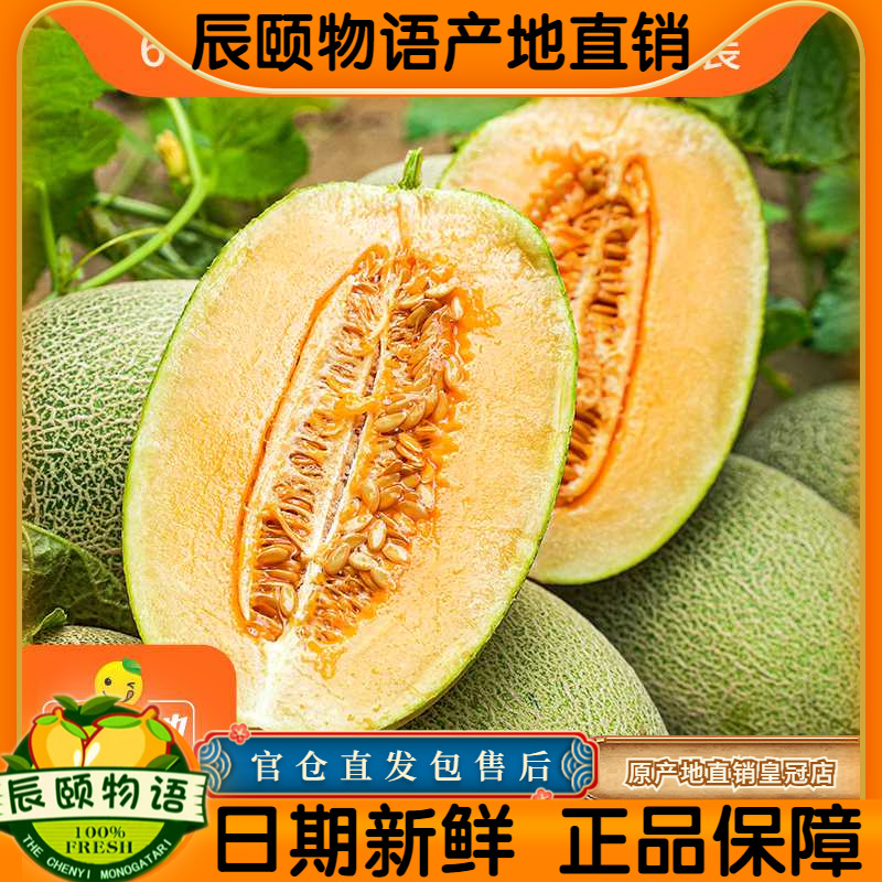 辰颐物语海南西州蜜瓜哈密瓜6.3斤新鲜水果整箱当季现摘网纹甜瓜