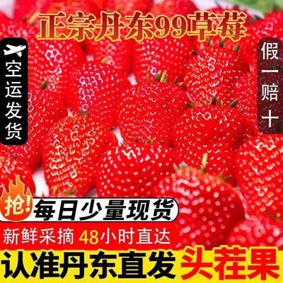 丹东草莓新鲜水果应季红颜99草莓3九九牛奶奶油大甜草莓孕妇