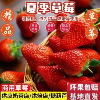 【优惠多多】云南当季草莓新鲜商用奶茶烘焙糖葫芦商用酸草莓整箱