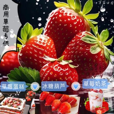 极速发货】四季商用草莓新鲜草莓大果一整箱批发冰糖葫芦奶茶水果