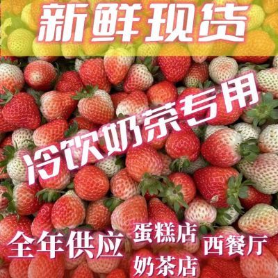 云南夏季双流新鲜草莓商用10斤批发草莓酱烘焙糖葫芦一整箱包邮