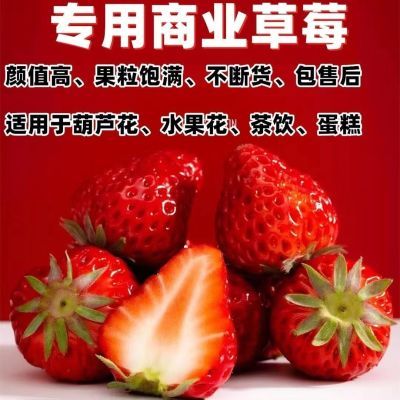 云南夏季当季草莓新鲜商用糖葫芦蛋糕烘焙奶茶店专用一整箱包邮