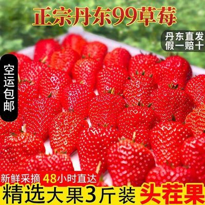 正宗丹东99草莓新鲜应季孕九九草莓牛奶草莓草莓丹东当季红颜孕妇
